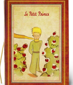 CAHIER SOUPLE - GRAND FORMAT - LPP - 182X258MM