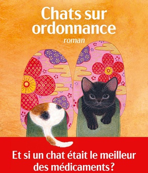 CHATS SUR ORDONNANCE