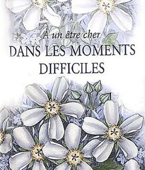 A UN ETRE CHER DANS LES MOMENTS DIFFICILES NLLE EDITION