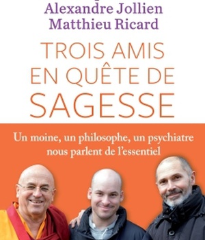 TROIS AMIS EN QUETE DE SAGESSE