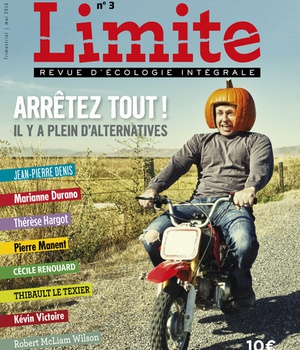 LIMITE - REVUE D'ECOLOGIE INTEGRALE NUMERO 3 ARRETEZ TOUT !