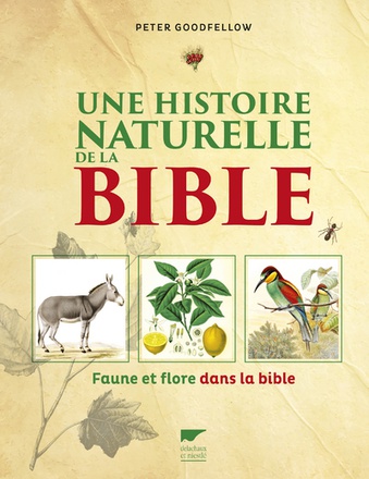 UNE HISTOIRE NATURELLE DE LA BIBLE - FAUNE ET FLORE DANS LA BIBLE