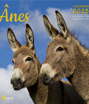 CALENDRIER ANES 2025