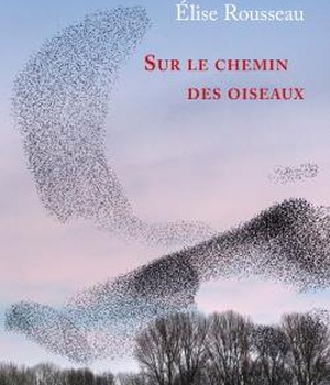 SUR LE CHEMIN DES OISEAUX - RECIT