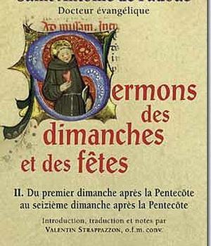 SERMONS DES DIMANCHES ET DES FETES, 2