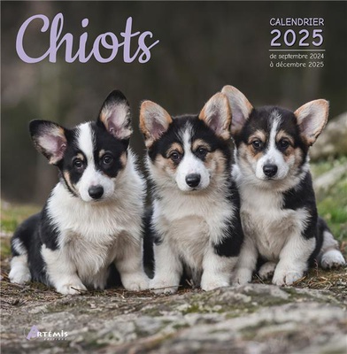 CALENDRIER CHIOTS 2025
