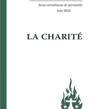 LA CHARITE - VIVES FLAMMES 339