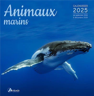 CALENDRIER ANIMAUX MARINS 2025
