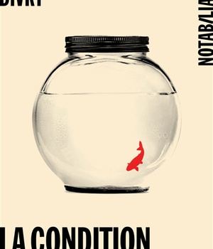 LA CONDITION PAVILLONNAIRE