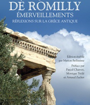 EMERVEILLEMENTS