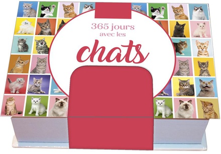 MINIMANIAK 365 JOURS AVEC LES CHATS