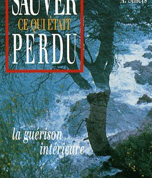 SAUVER CE QUI ETAIT PERDU - LA GUERISON INTERIEURE