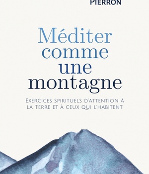 MEDITER COMME UNE MONTAGNE - EXERCICES SPIRITUELS D ATTENTION