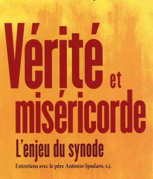 VERITE ET MISERICORDE - L'ENJEU DU SYNODE