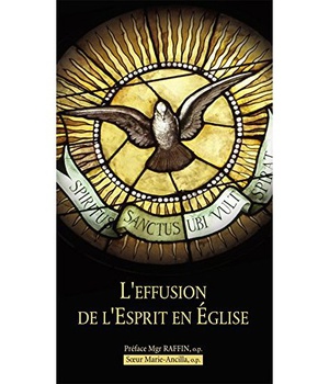 L'EFFUSION DE L'ESPRIT EN EGLISE