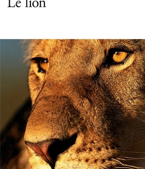 LE LION