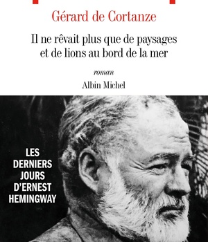 IL NE REVAIT PLUS QUE DE PAYSAGES ET DE LIONS AU BORD DE LA MER - LES DERNIERS JOURS D'ERNEST HEMING