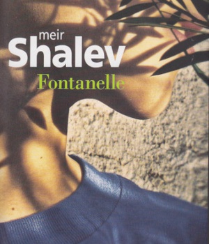 FONTANELLE