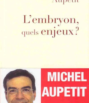L'EMBRYON, QUELS ENJEUX