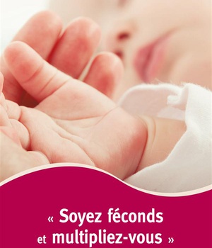 SOYEZ FECONDS ET MULTIPLIEZ-VOUS - COUPLES INFERTILES : DES RAISON D'ESPERE A SAINT-ANNE D'AURAY