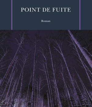 POINT DE FUITE