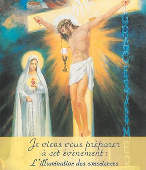 L'ILLUMINATION DES CONSCIENCES - T03