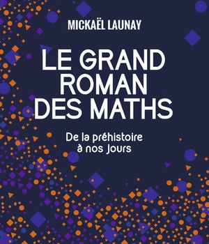 LE GRAND ROMAN DES MATHS - DE LA PREHISTOIRE A NOS JOURS