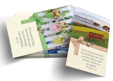 LOT DE 100 MINI-CARTES BIBLIQUES : DIEU EST BON NDSP