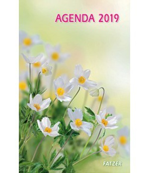AGENDA 2019 INTERNATIONAL NDSP