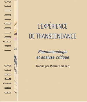 EXPERIENCE DE LA TRANSCENDANCE (L')