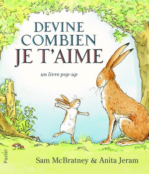 DEVINE COMBIEN JE T AIME POP UP