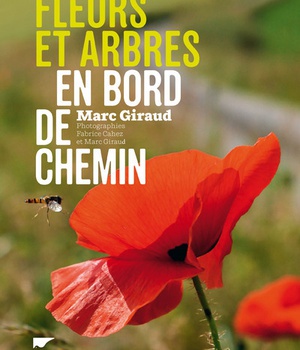FLEURS ET ARBRES EN BORD DE CHEMIN