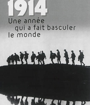 1914. UNE ANNEE QUI A FAIT BASCULER LE MONDE - ESSAI D'HISTOIRE GLOBALE