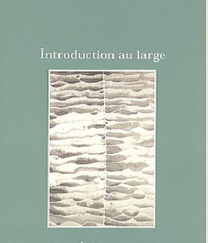INTRODUCTION AU LARGE