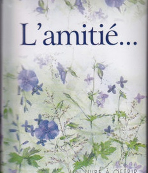 AMITIE (L') - GF