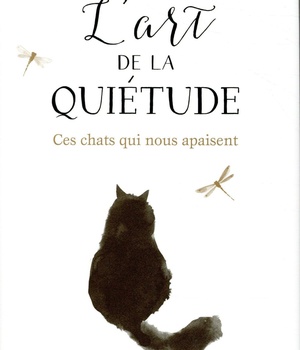 L'ART DE LA QUIETUDE - CES CHATS QUI NOUS APAISENT - ILLUSTRATIONS, COULEUR