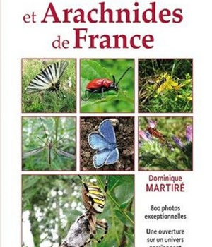 INSECTES ET ARACHNIDES DE FRANCE