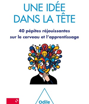 UNE IDEE DANS LA TETE - 40 PEPITES REJOUISSANTES SUR LE CERVEAU ET L'APPRENTISSAGE