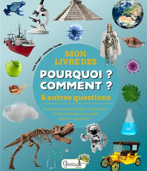 MON LIVRE DES POURQUOI COMMENT & AUTRES QUESTIONS
