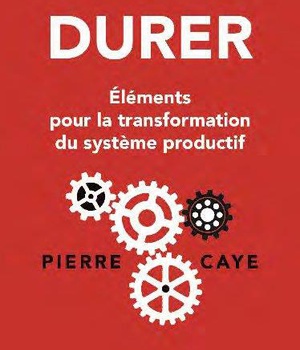 DURER - ELEMENTS POUR LA TRANSFORMATION DU SYSTEME PRODUCTIF
