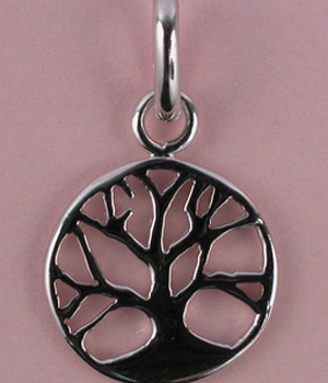 MEDAILLE ARGENT ICHTUS