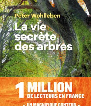 LA VIE SECRETE DES ARBRES