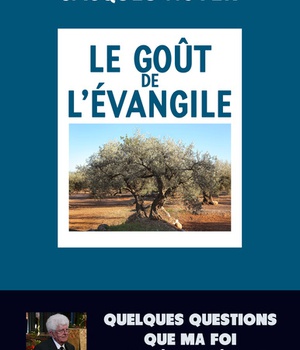 LE GOUT DE L'EVANGILE - QUELQUES QUESTIONS QUE MA FOI POSE A MON EGLISE