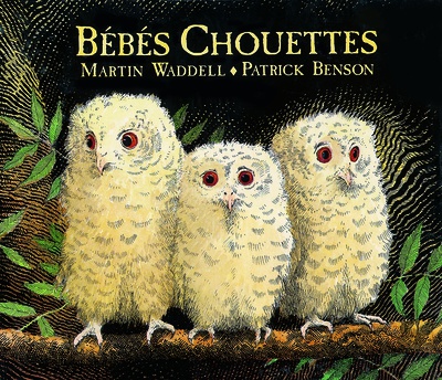 BEBES CHOUETTES