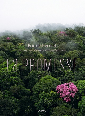 LA PROMESSE