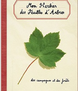 HERBIER DES FEUILLES D'ARBRES DES CAMPAGNES ET DES FORETS