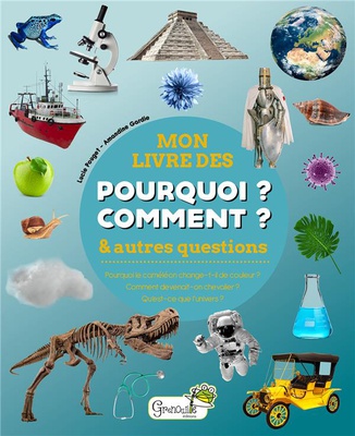 MON LIVRE DES POURQUOI COMMENT & AUTRES QUESTIONS