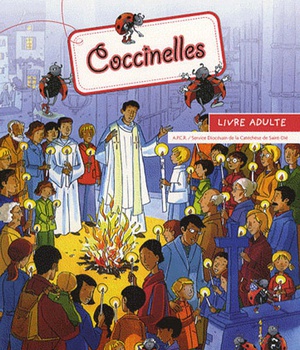COCCINELLES - LIVRE ADULTE