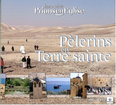 PELERIN EN TERRE STE ED 2011