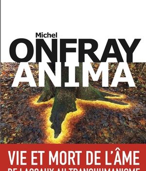 ANIMA - VIE ET MORT DE L'AME - DE LASCAUX AU TRANSHUMANISME